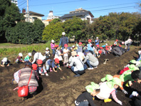 幼稚園_芋ほり